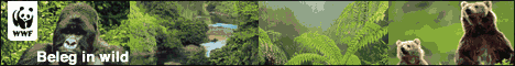 Banner by WNF