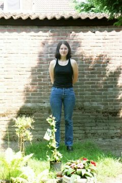 Elabella, photo 3