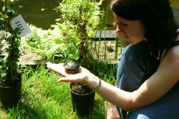 Elabella, photo 4