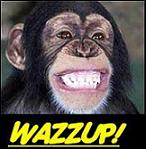 Mr. Chim Pansee